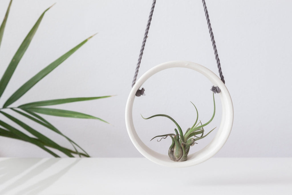 Ceramic air plant holder - Minimal white collection - Parceline