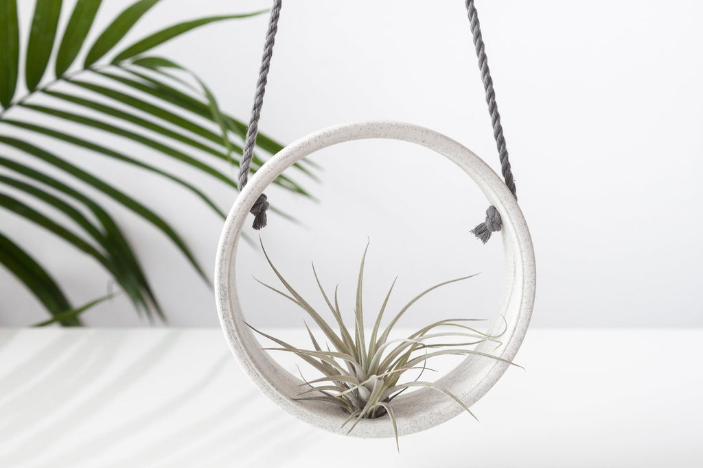 Round ceramic planter - air plant - Speckles collection - Parceline