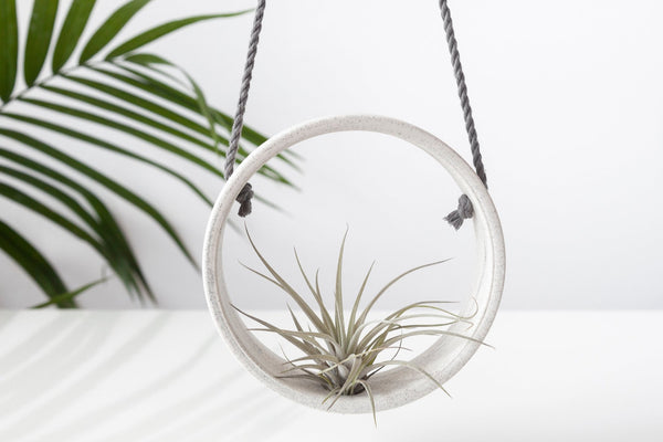 Round ceramic planter - air plant - Speckles collection - Parceline