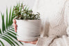 Handmade ceramic plant pot - Speckles collection - Parceline