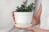 Handmade ceramic planter - Faceted collection - Parceline