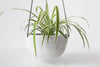 Large ceramic hanging planter - Speckles collection - Parceline