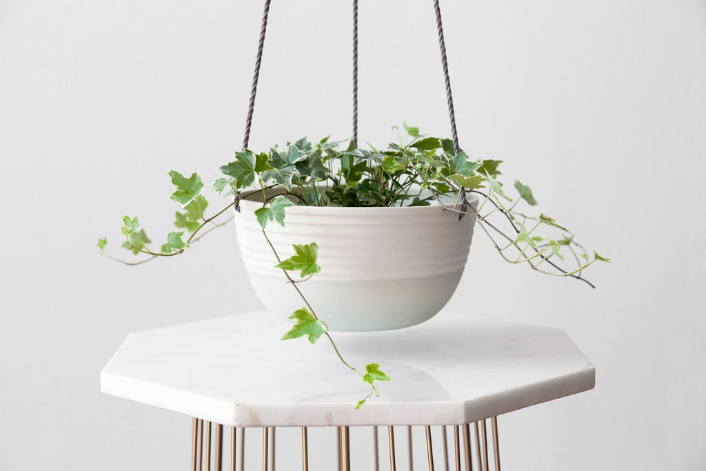 Large indoor hanging planter - Minimal white collection - Parceline